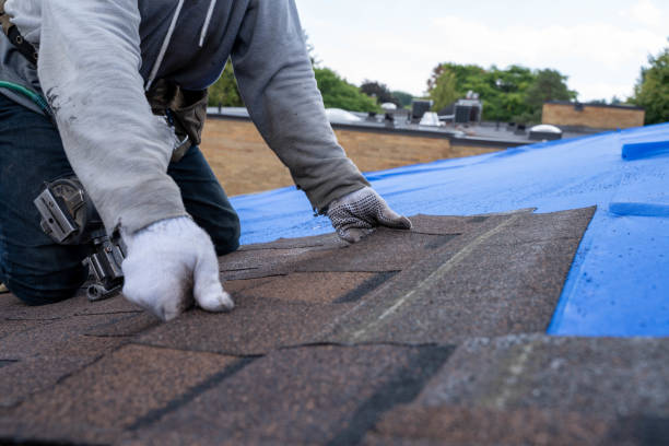 Best Chimney Flashing Repair  in Cumberland, KY